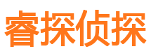 临港市调查公司